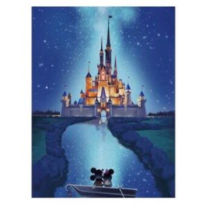 New 12x16 Inch minnie and mickey diamond art in boat